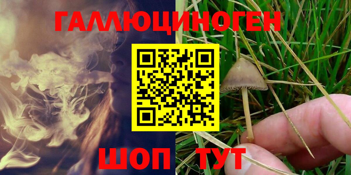 Галлюциногенные грибы MAGIC MUSHROOMS  Вход с VPN  Курчалой 