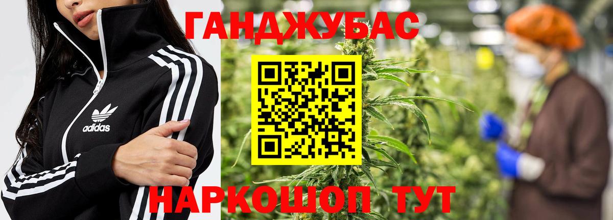 Шишки марихуана марихуана  МАРИХУАНА индика  Курчалой  Вход с VPN 